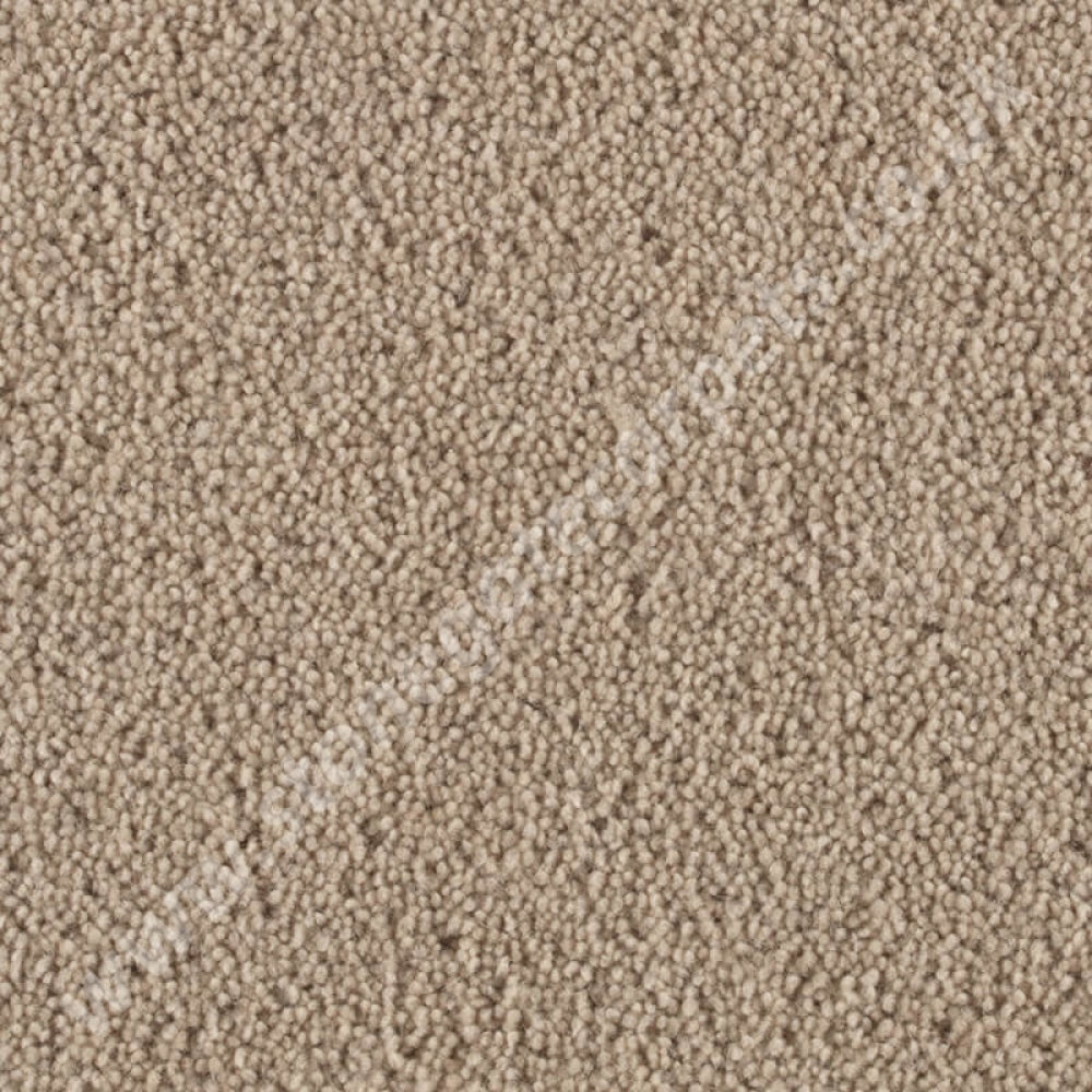 Penthouse Carpets Stateside Chicago 10033