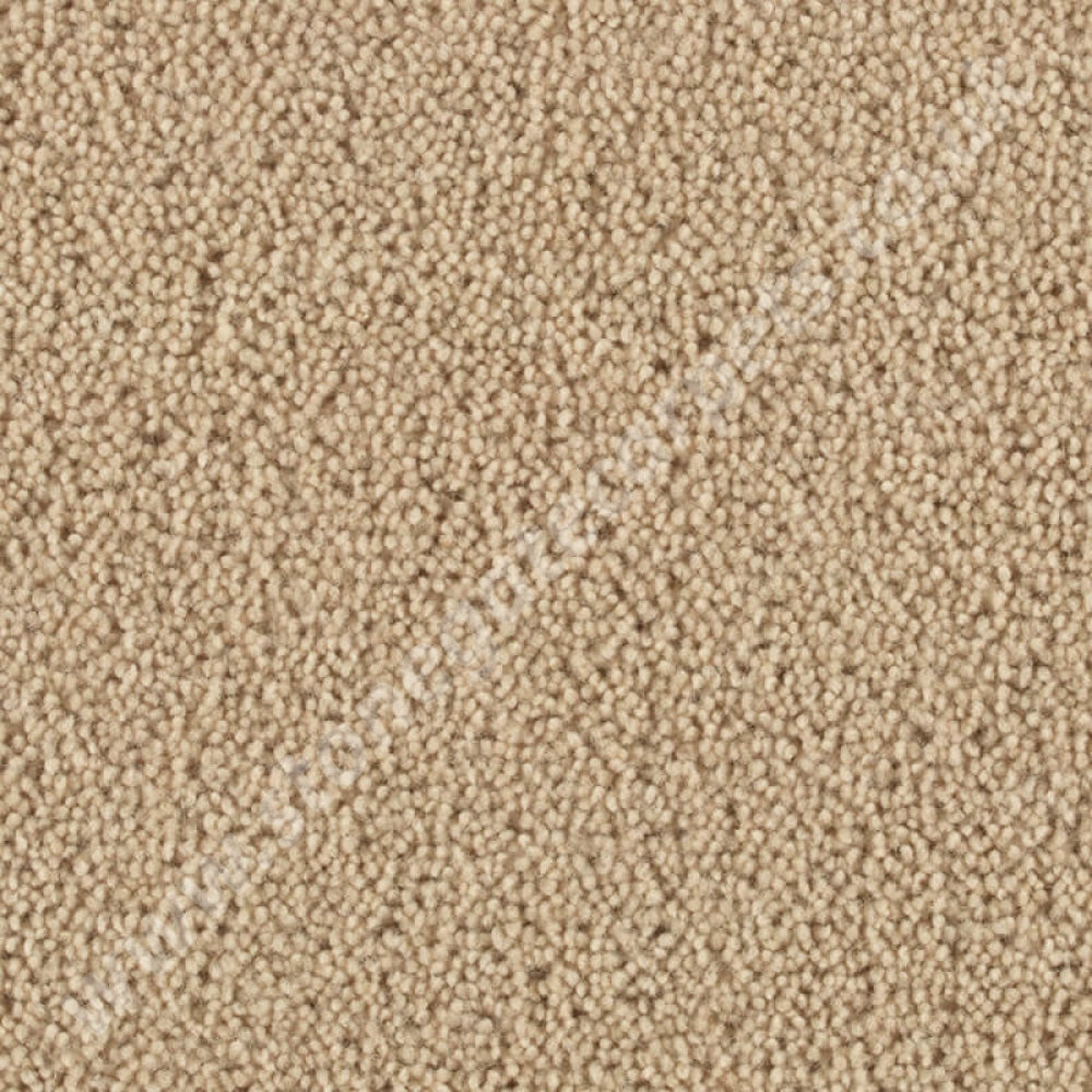 Penthouse Carpets Stateside Cloisters 10028