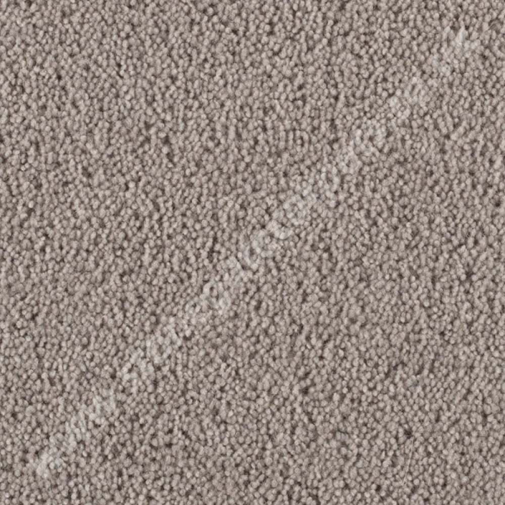 Penthouse Carpets Stateside Columbus 10039