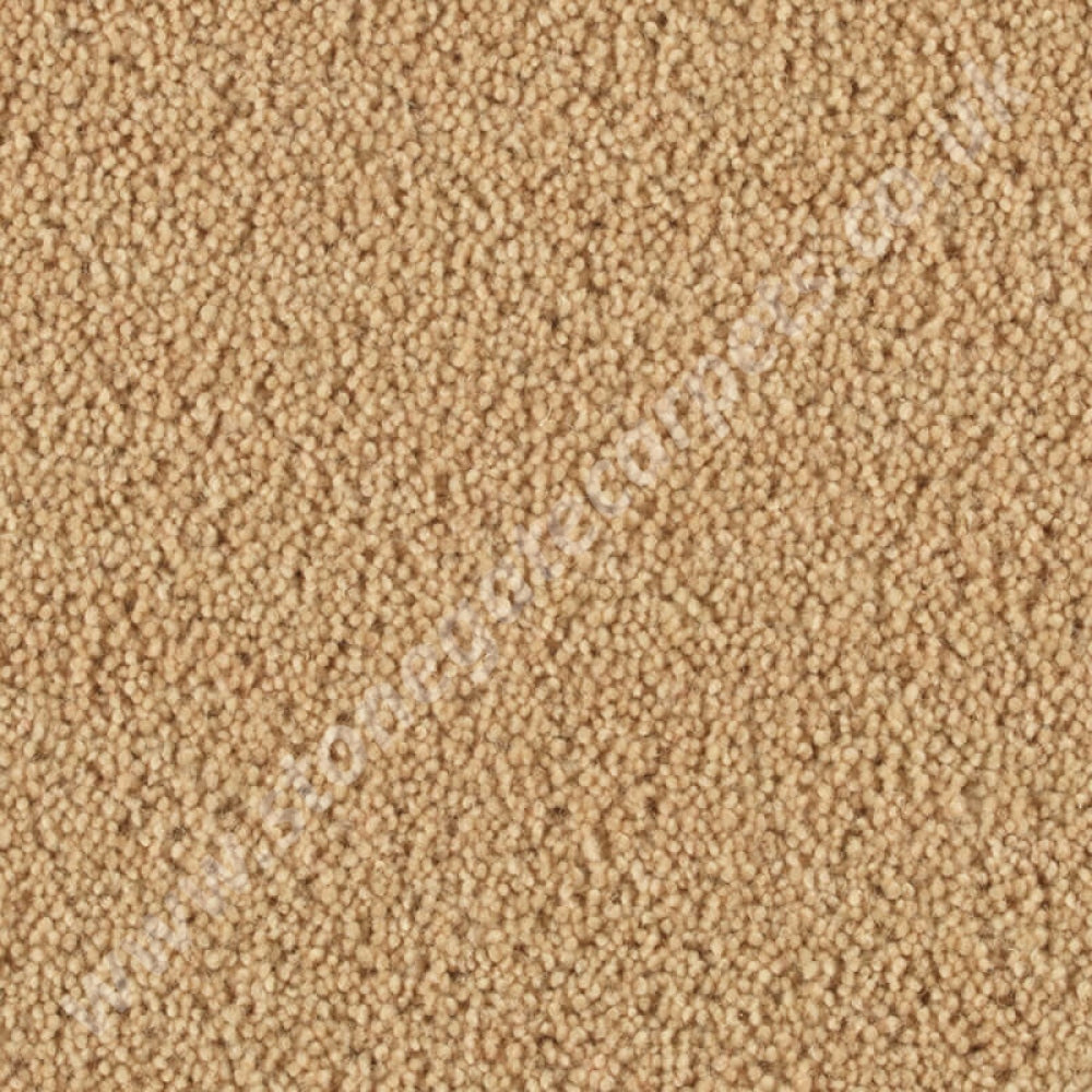 Penthouse Carpets Stateside Elllis 10029