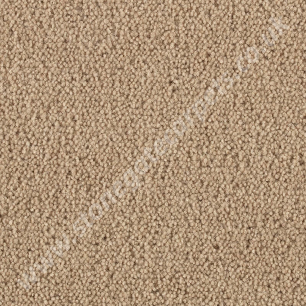 Penthouse Carpets Stateside Florida 10032