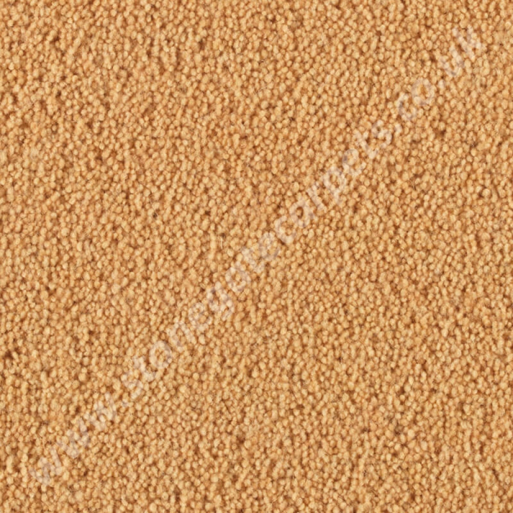 Copy of Penthouse Carpets Stateside Hamilton 10042