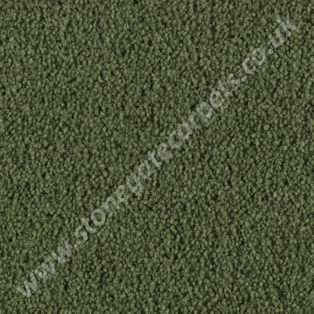 Penthouse Carpets Stateside Houston 10044