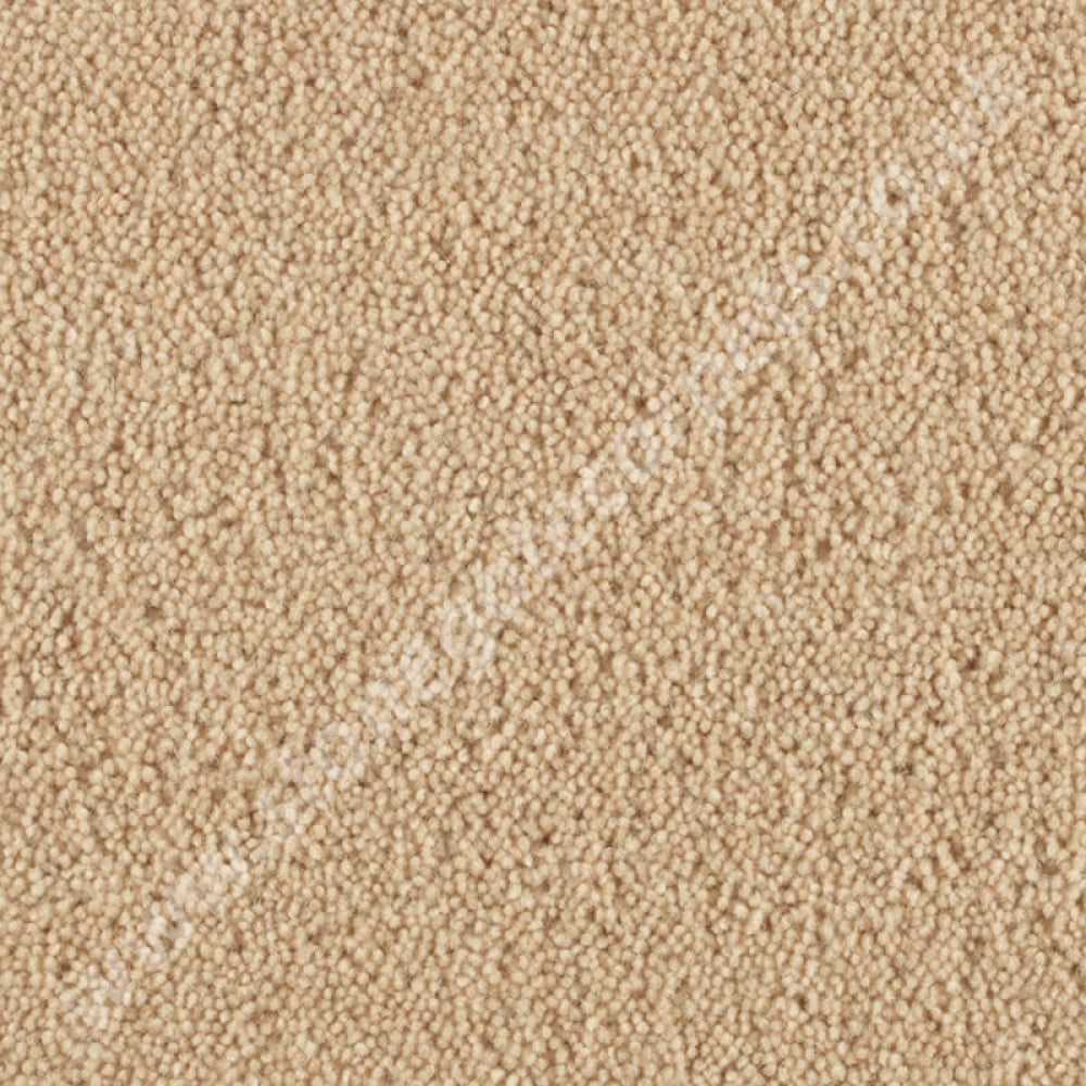 Penthouse Carpets Stateside Jersey 10027