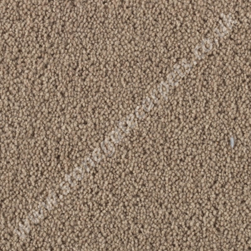 Penthouse Carpets Stateside Seattle 10035