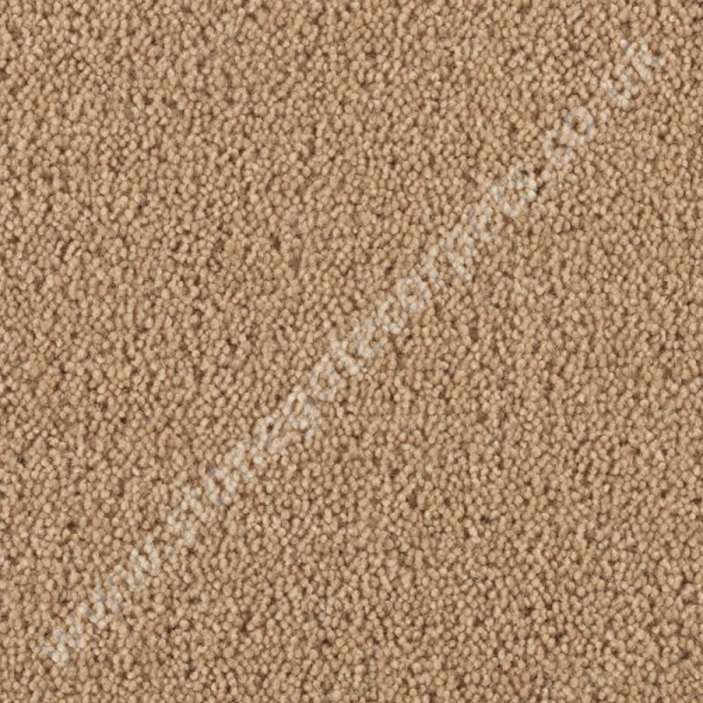 Penthouse Carpets Stateside Vegas 10030