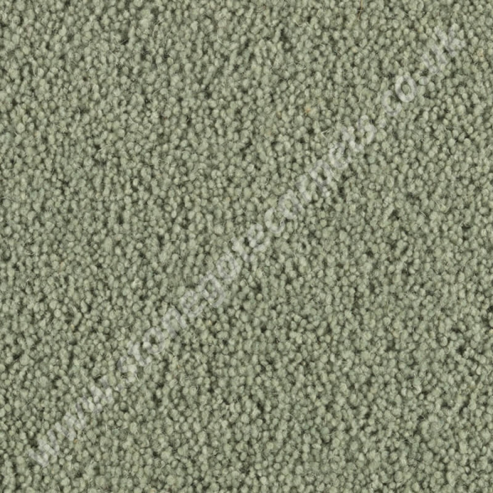 Penthouse Carpets Super Maxim Angelica 10113