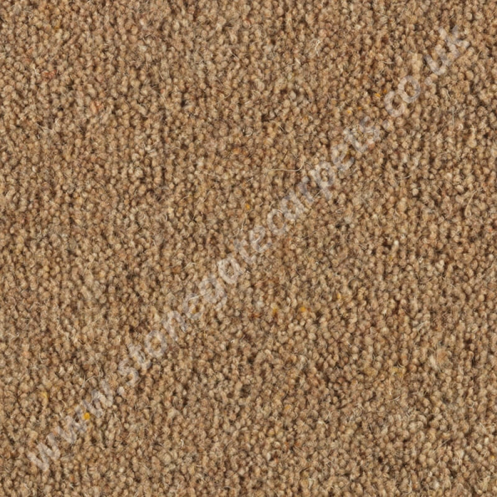 Penthouse Carpets Super Maxim Bulrush 10106
