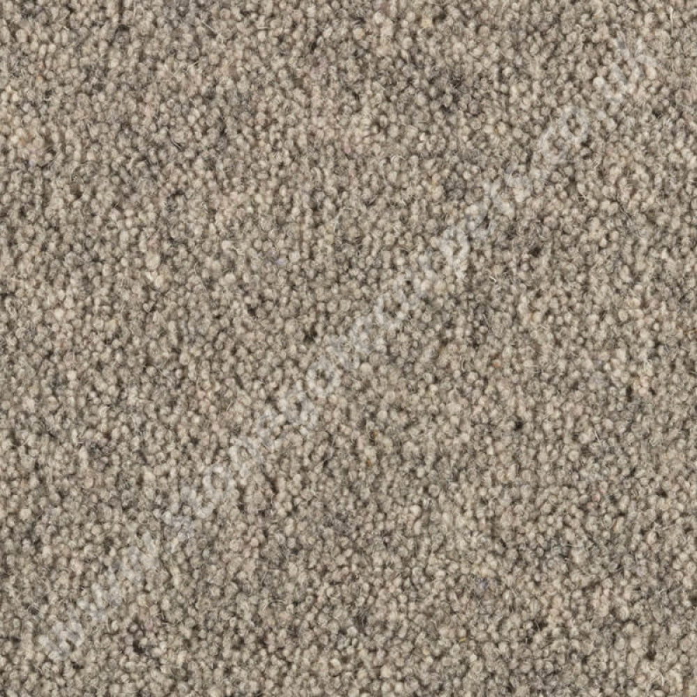 Penthouse Carpets Super Maxim Colt Grey 10109