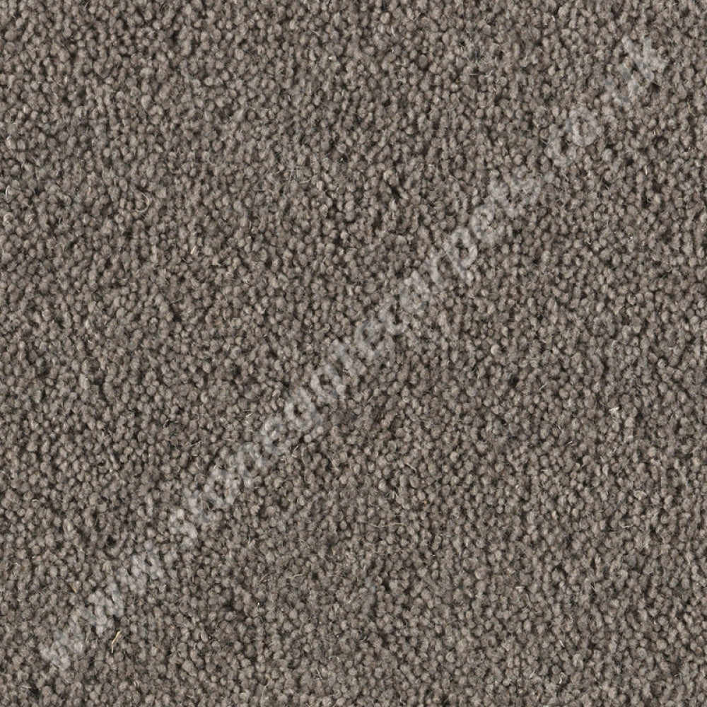 10102Penthouse Carpets Super Maxim Shadow 10094