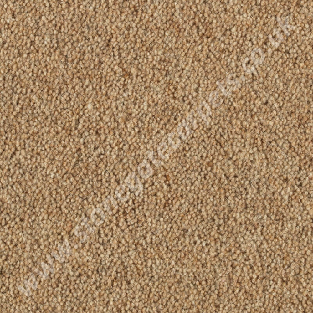 Penthouse Carpets Vermont Carson 10054