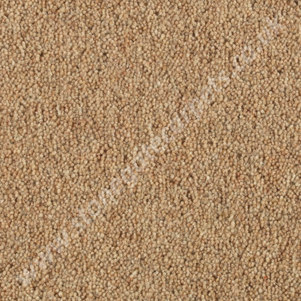 Penthouse Carpets Vermont Dallas 10052