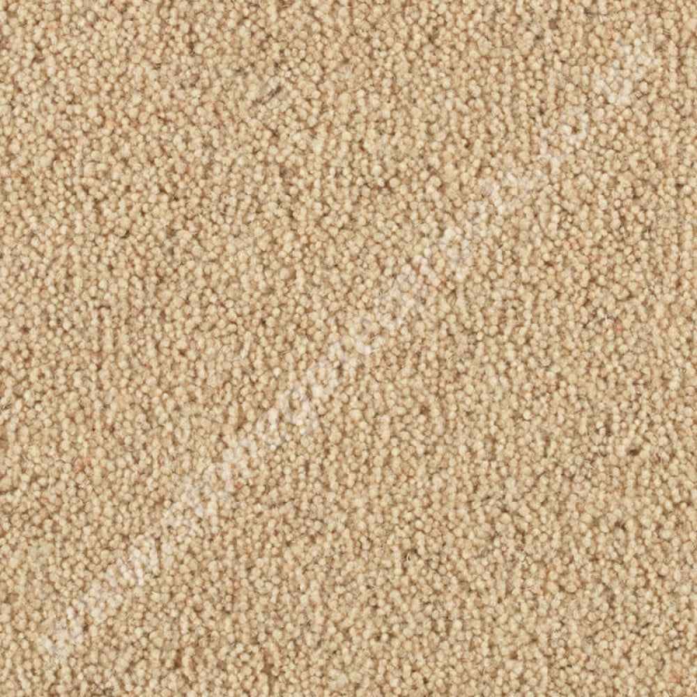 Penthouse Carpets Vermont Memphis 10048