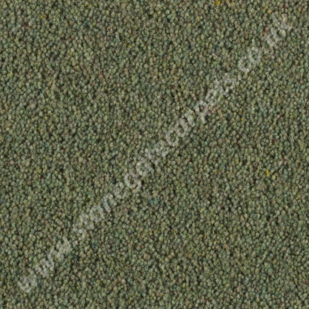 Penthouse Carpets Vermont Miami 10069