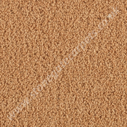 Penthouse Carpets Wentworth Elland 10100