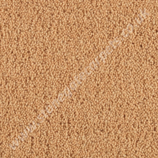 Penthouse Carpets Wentworth Fairway 10101