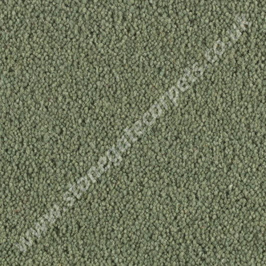 Penthouse Carpets Wentworth Grange 10107