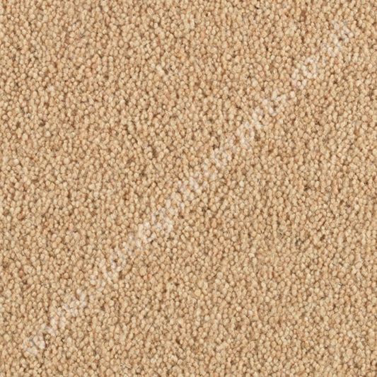 Penthouse Carpets Wentworth Kendal 10092