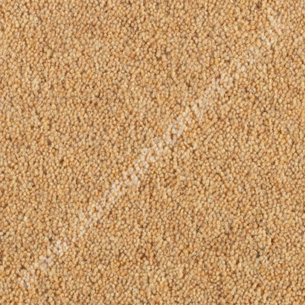 Penthouse Carpets Wentworth Manor 10094