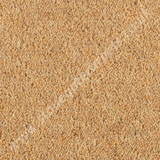 Penthouse Carpets Wentworth Manor 10094