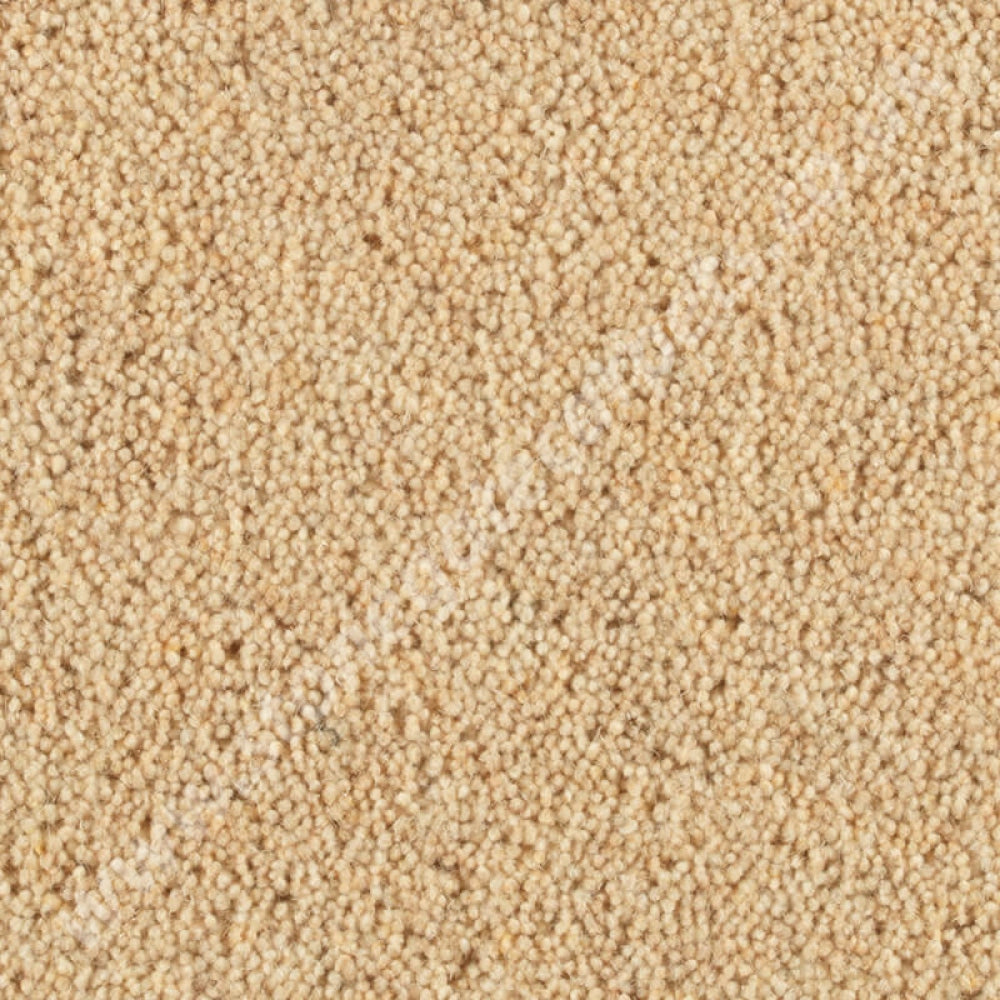 Penthouse Carpets Wentworth Newbury 10090