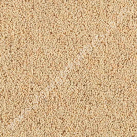 Penthouse Carpets Wentworth Newbury 10090