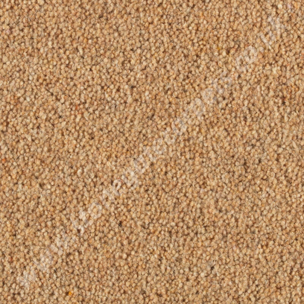 Penthouse Carpets Wentworth Parkstone 10095