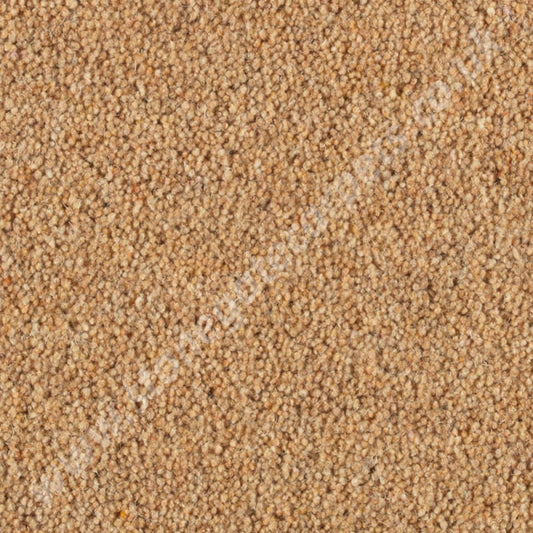 Penthouse Carpets Wentworth Parkstone 10095