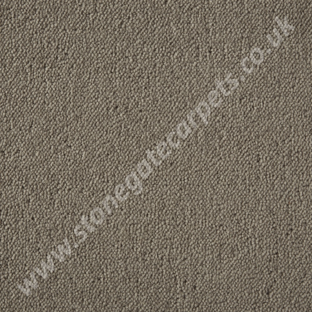 Ultima Twist - Penultima Colour Chicory (Per M²)