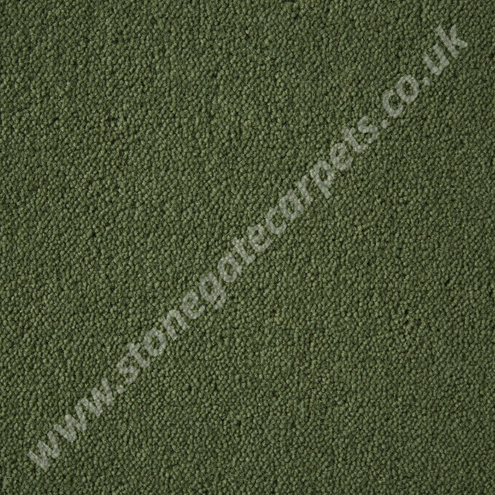 Ultima Twist - Penultima Colour Mistletoe (Per M²)