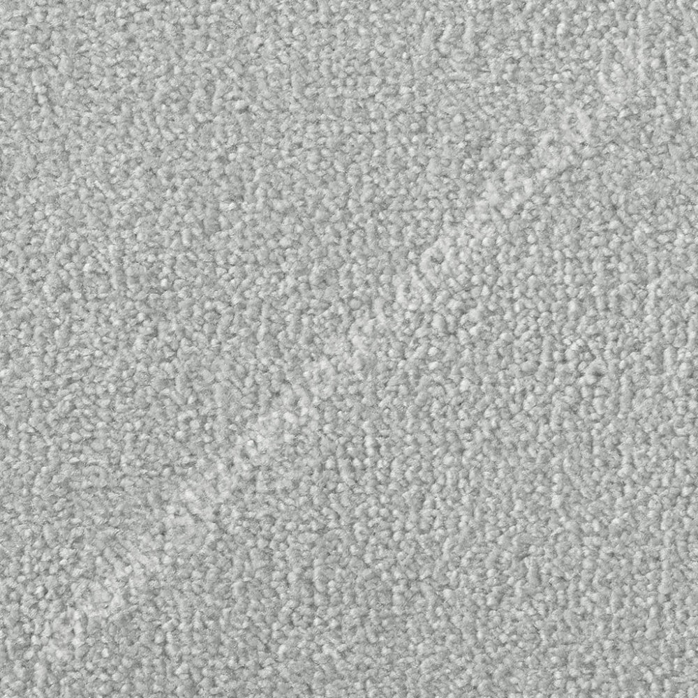 Westex Carpets Silken Velvet - Vogue Colour Calcite (Per M²)