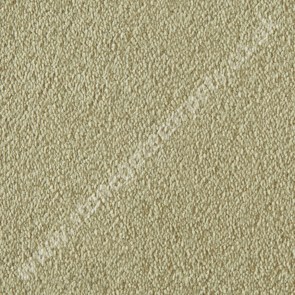 Westex Carpets Silken Velvet - Vogue Colour Cashmere (Per M²)