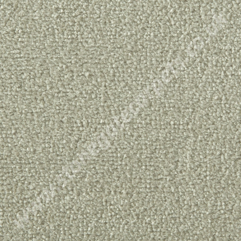 Westex Carpets Silken Velvet - Vogue Colour Ecru (Per M²)