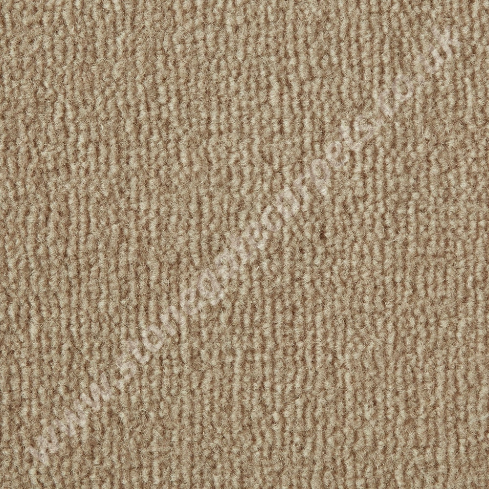 Westex Carpets Westend Velvet - Colour Champagne (Per M²)