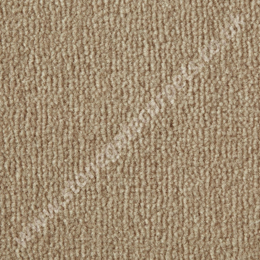 Westex Carpets Westend Velvet - Colour Champagne (Per M²)