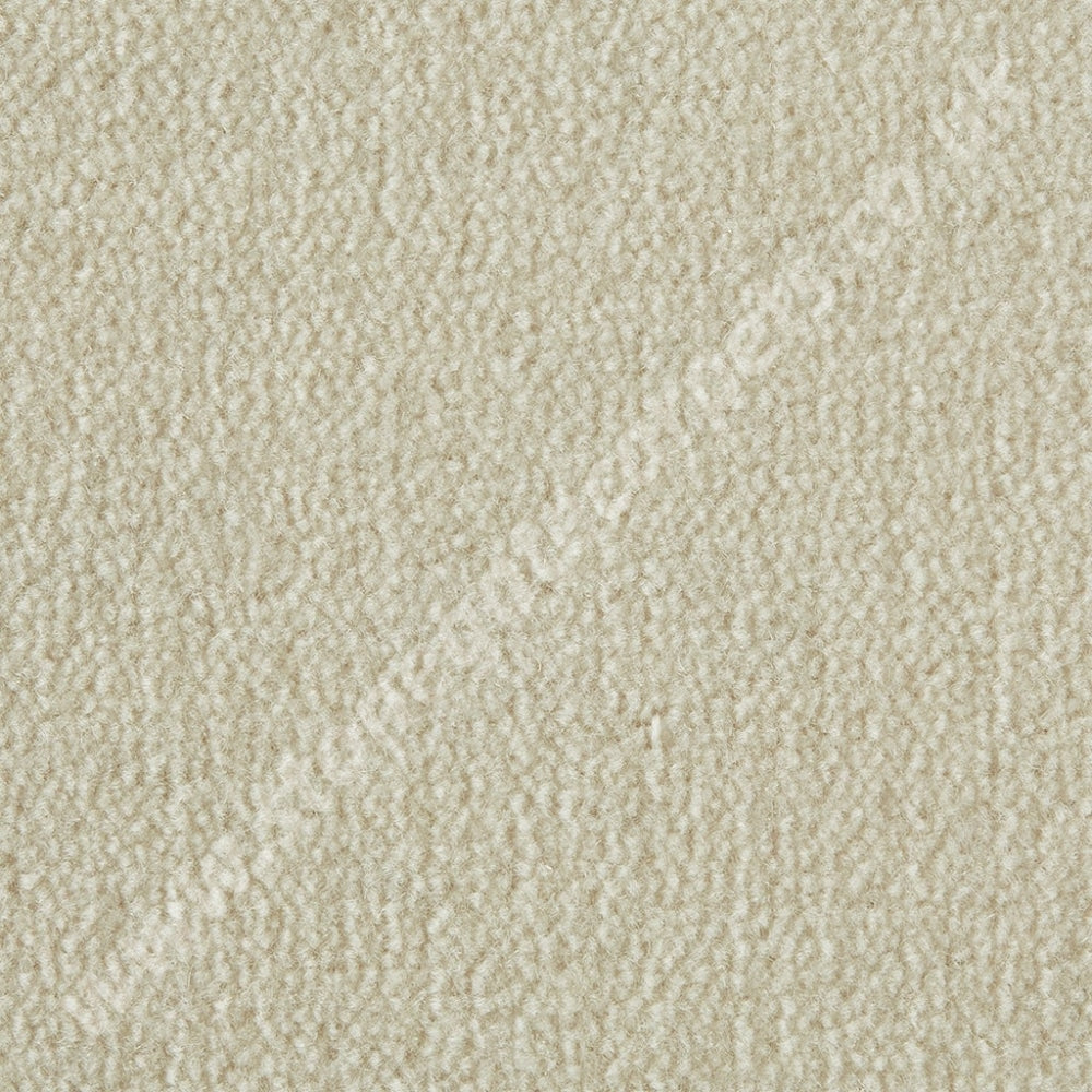 Westex Carpets Westend Velvet - Colour Ermine (Per M²)
