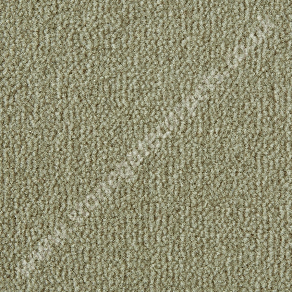 Westex Carpets Westend Velvet - Colour Marshmallow (Per M²)