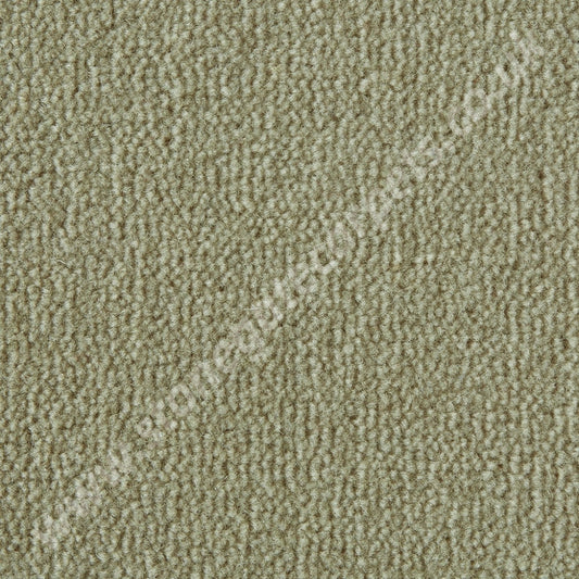 Westex Carpets Westend Velvet - Colour Marshmallow (Per M²)