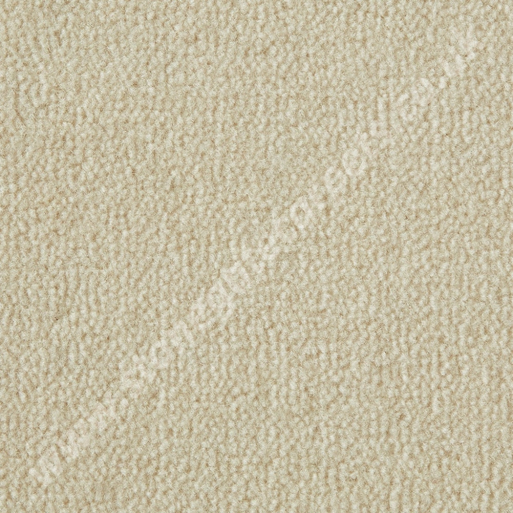 Westex Carpets Westend Velvet - Colour Mascarpone (Per M²)