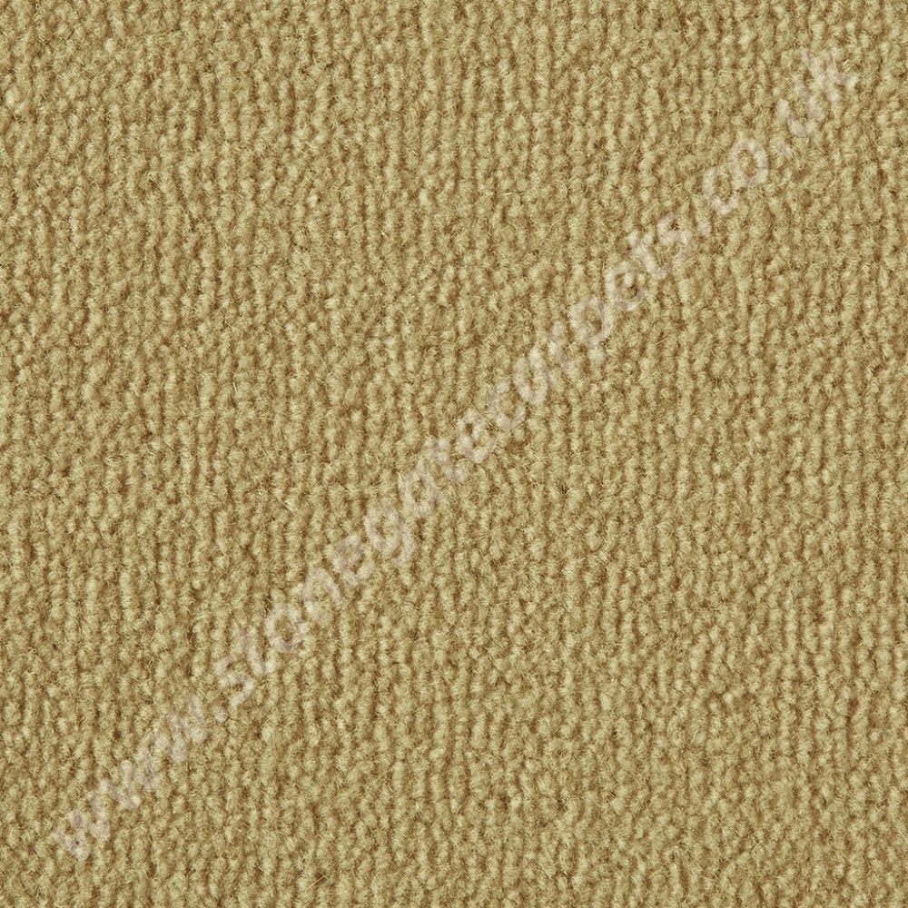 Westex Carpets Westend Velvet - Colour Panama (Per M²)