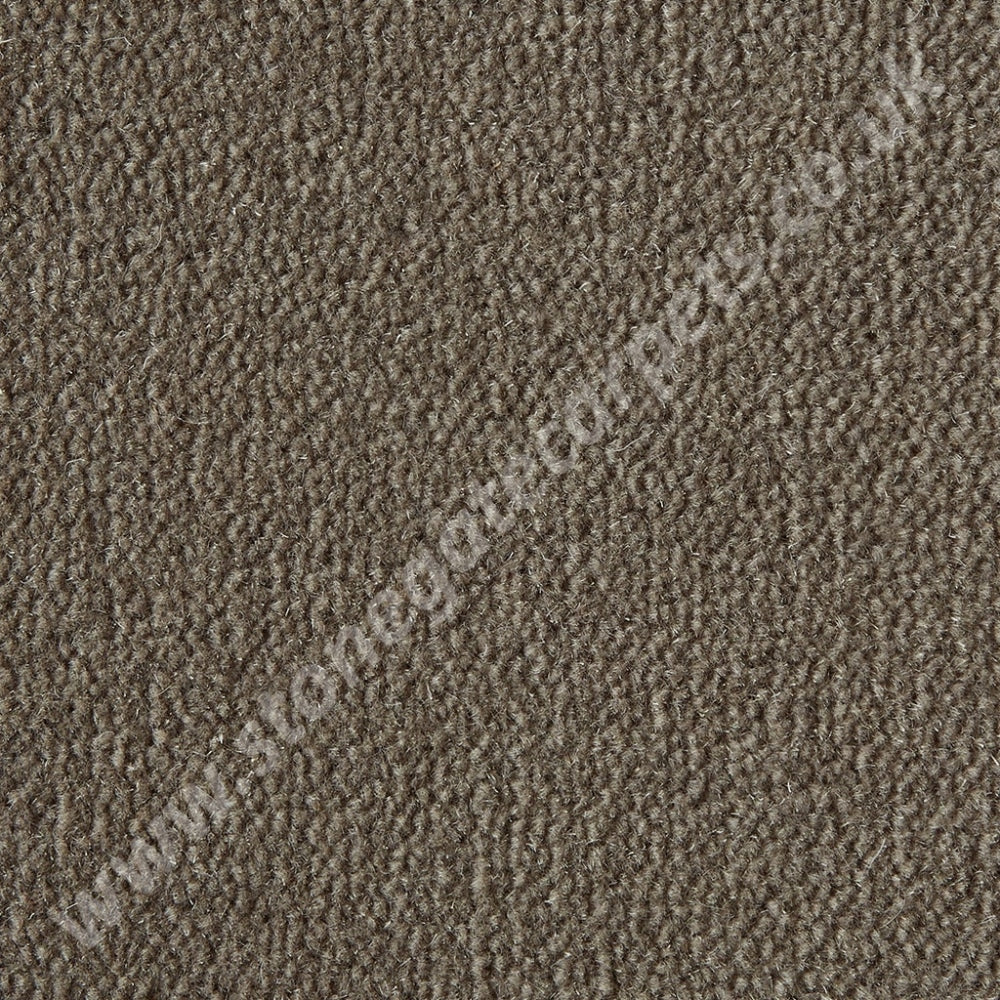 Westex Carpets Westend Velvet - Colour Praline (Per M²)