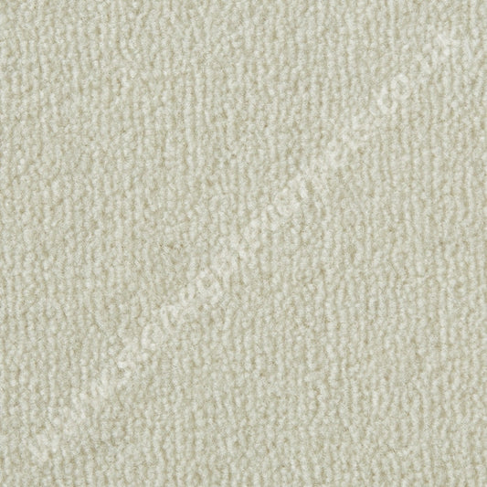 Westex Carpets Westend Velvet - Colour White (Per M²)