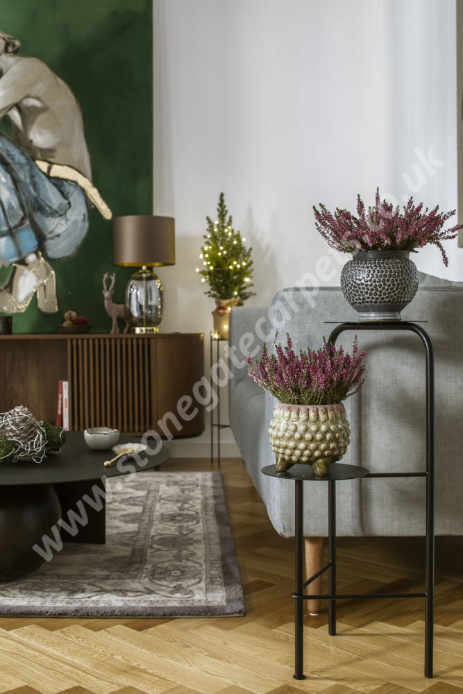 Agnella Rugs Calisia BELUSA Alabaster - 100% New Zealand Wool - Free Delivery