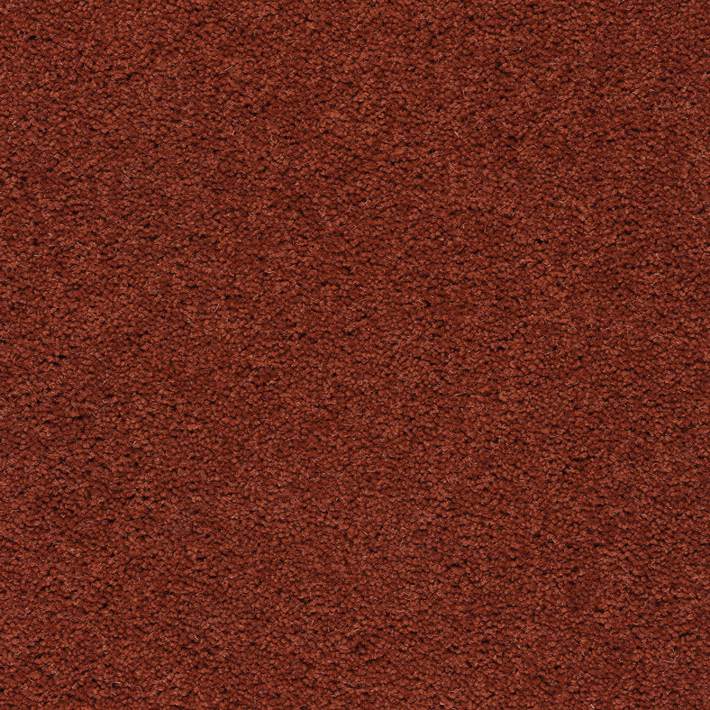 Axminster Carpets Devonia Autumn Fall (RRP Per M² - Call for our Better Price)