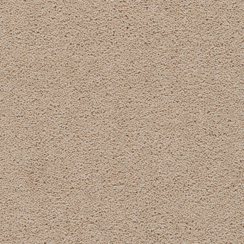 Axminster Carpets Devonia Butter Ice (RRP Per M² - Call for our Better Price)