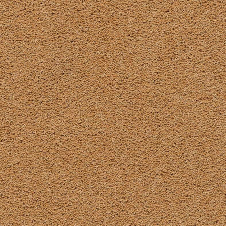 Axminster Carpets Devonia Sunkissed (RRP Per M² - Call for our Better Price)