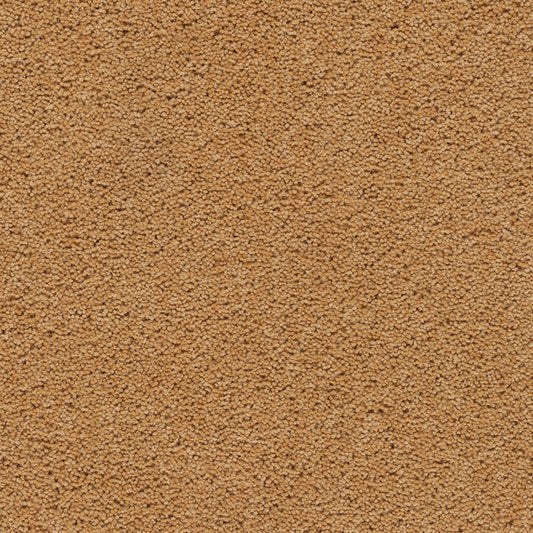Axminster Carpets Devonia Sunkissed (RRP Per M² - Call for our Better Price)