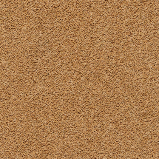 Axminster Carpets Devonia Sunkissed (RRP Per M² - Call for our Better Price)