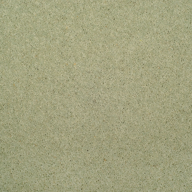 Axminster Carpets Devonia Water Reed (RRP Per M² - Call for our Better Price)