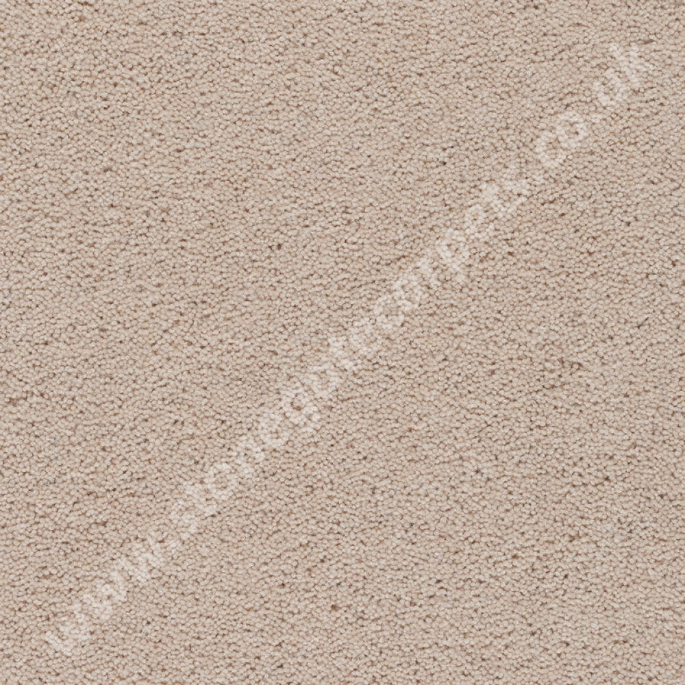 Double Cream - Devonia - Axminster Carpets
